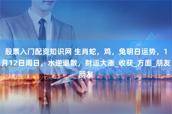 股票入门配资知识网 生肖蛇，鸡，兔明日运势，1月12日周日，水逆退散，财运大涨_收获_方面_朋友