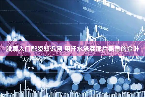 股票入门配资知识网 用汗水浇灌那片飘香的金叶